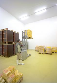 solution murale pvc pour industrie